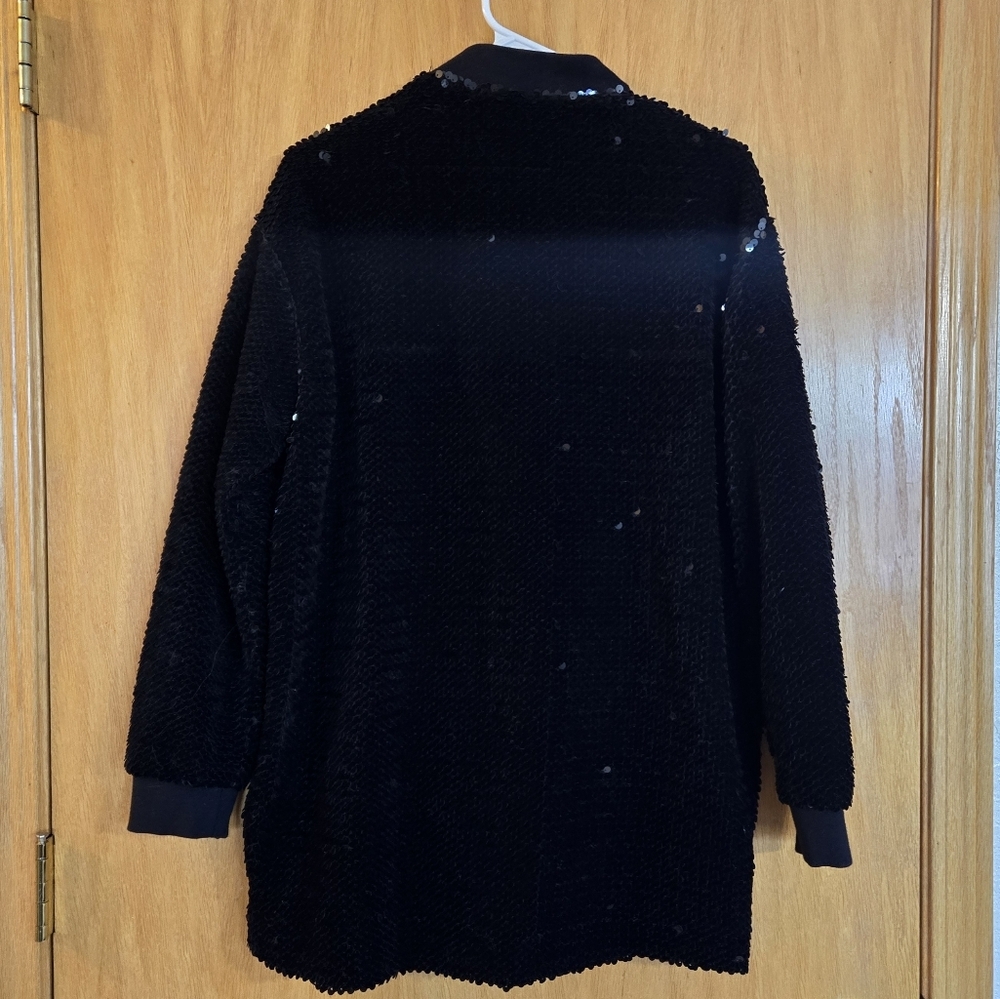 Zara Basic Velvet Sequined Jacket - Picture 3 of 3